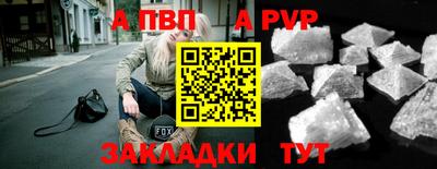 шишки Донской