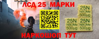 шишки Донской