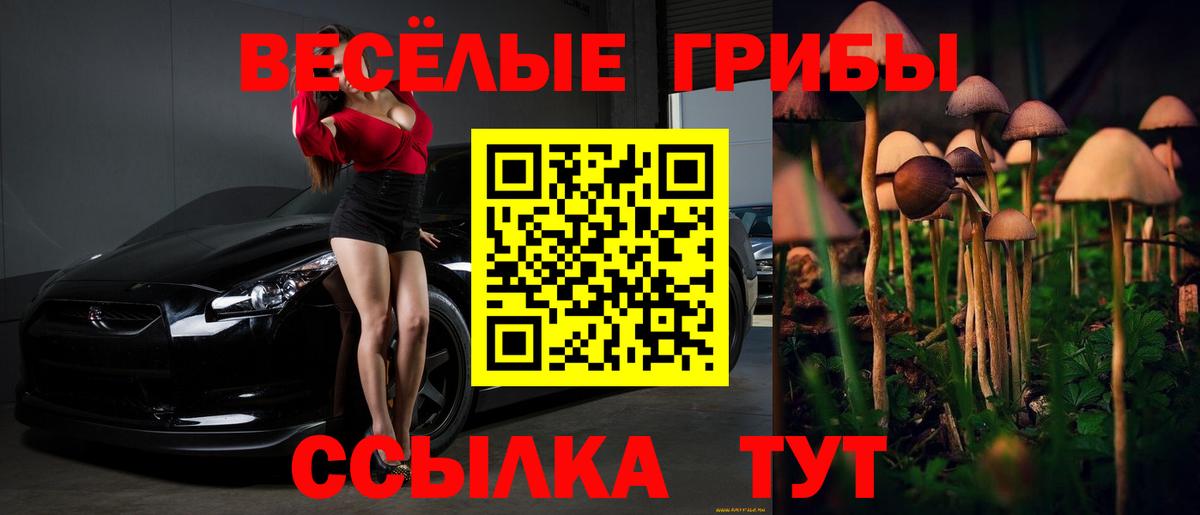 Галлюциногенные грибы ЛСД Мичуринск